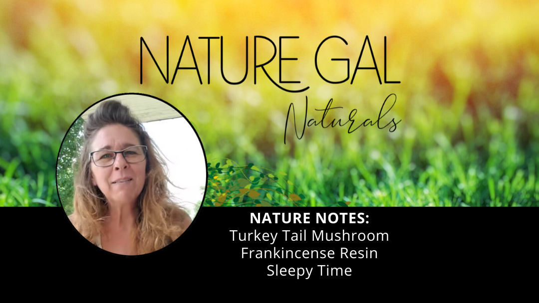[Nature Notes] Turkey Tail Mushroom, Frankincense Resin and Sleepy Time Extract