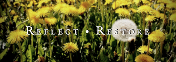 Reflect &amp; Restore Collection