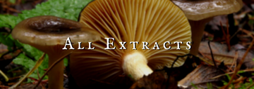 All Extracts