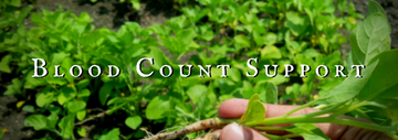 Blood Count Support Collection