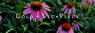 Cold • Flu • Virus Collection