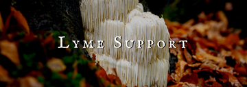 Lyme Support Collection