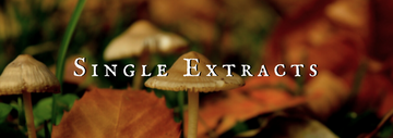 Single Extracts Collection