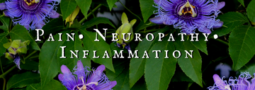 Pain • Neuropathy • Inflammation Collection