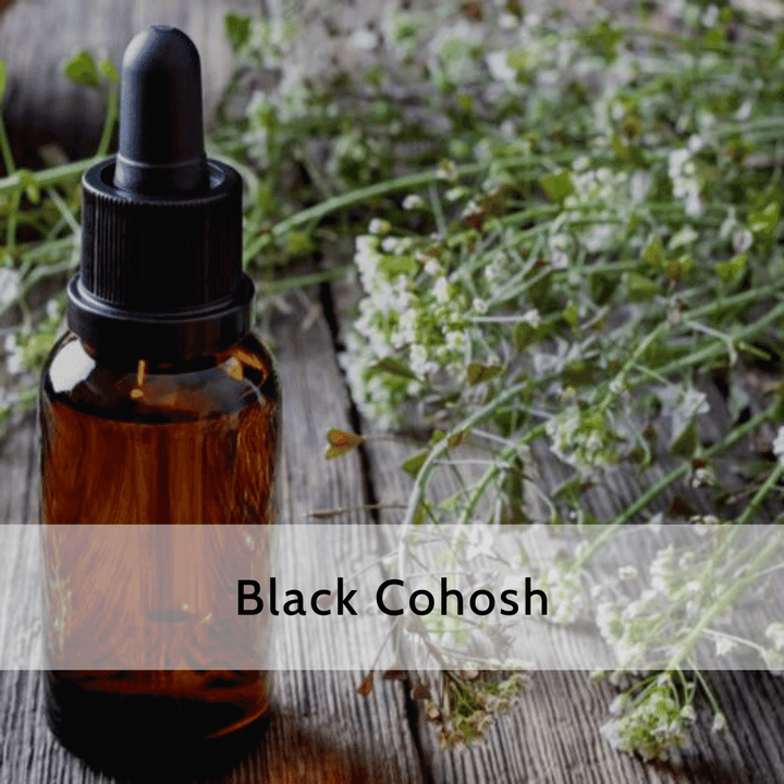 Black Cohosh (2 & 4 oz Available)