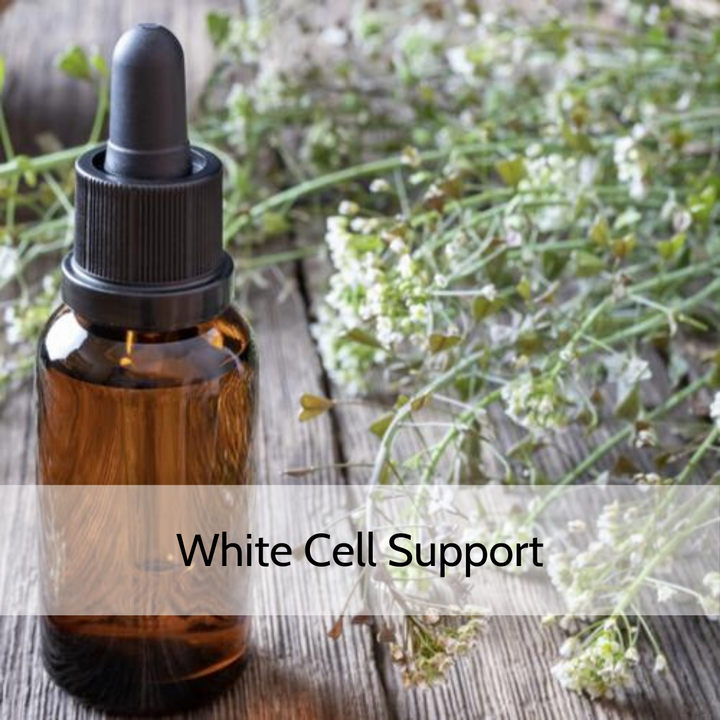 White Cell Support