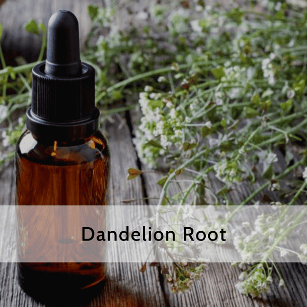 Dandelion Root (2 & 4 oz Available)