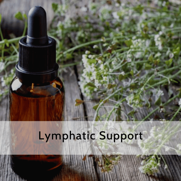 Lymphatic Support (2 & 4 oz Available)