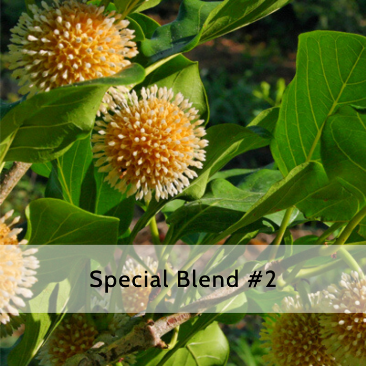 Special Blend #2